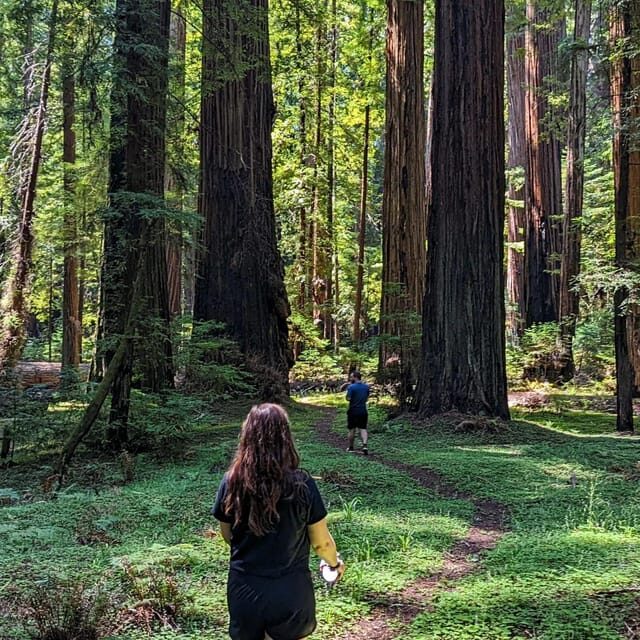 Prairie Creek State Park: Redwood Forest Hiking Tour - FAQ