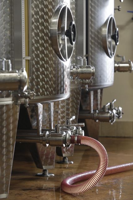 Pramaggiore: Ornella Bellia Winery Guided Tour & Tasting - The Sum Up