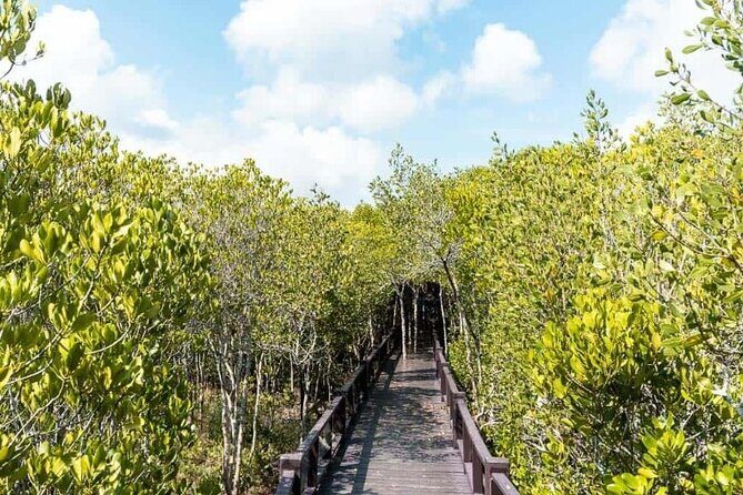 Pranburi Forest Park and Khao Daeng Join Tour from Hua Hin - Who Will Love This Tour?