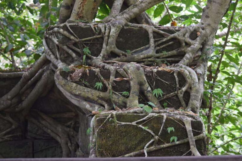 Prasat Thom, Koh Ker Group & Beng Mealea Full-Day Tour - FAQs