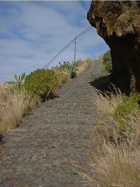 Prazeres: Full-Day Nature Walk - Exploring Madeira’s Western Wonders: The Prazeres: Full-Day Nature Walk