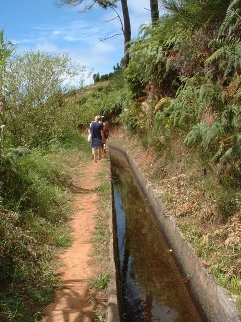 Prazeres: Full-Day Nature Walk - Frequently Asked Questions (FAQs)