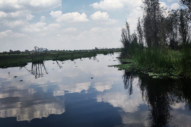 Pre-Hispanic Xochimilco and ajolotario. Private Ecotour. - Frequently Asked Questions