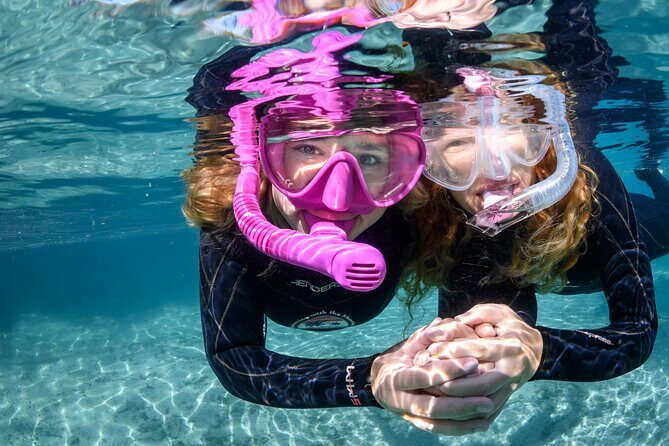 Pre-Season Special Manatee Snorkel Tour in Crystal River - Key Points