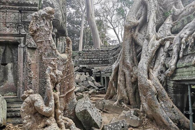 Preah Khan, Ta Prohm, Bayon Off Beaten Track - What’s Included and What’s Not