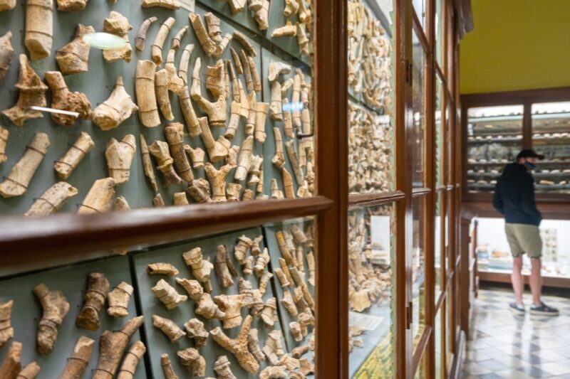 Prehistoric Temples of Malta Tour - Final Thoughts: Why Choose This Tour?