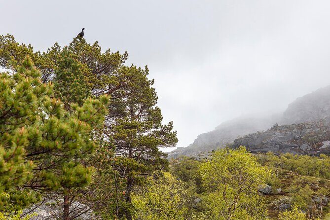 Preikestolen Hidden Trail Hike + Lunch and Canoe Trip - The Sum Up