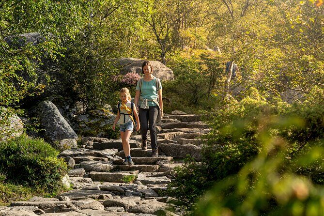 Preikestolen | Pulpit Rock - Hike with a Norwegian guide - Practical Tips for Your Trip