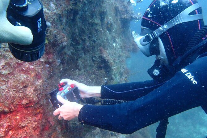 Premier Dive Spots Experience in Kushimoto - FAQ