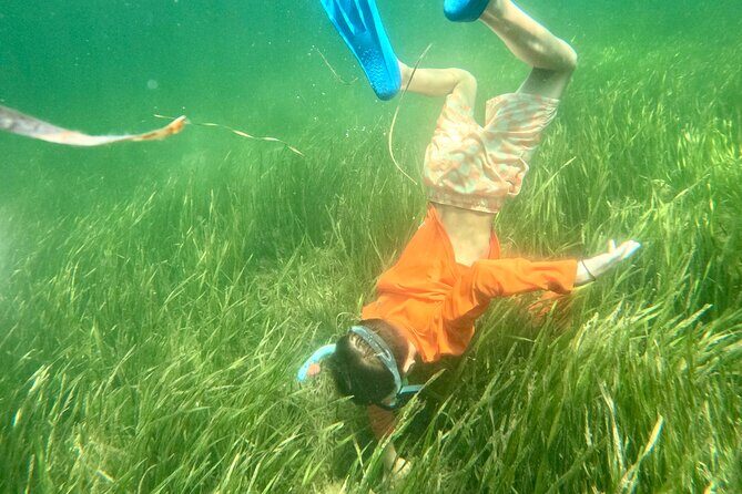 Premier Scalloping Adventure on Florida's Nature Coast - An In-Depth Look at the Premier Scalloping Tour