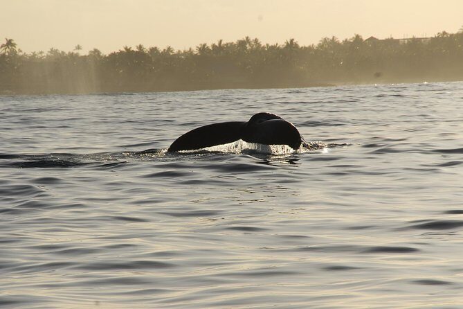 Premier Waikiki Sunset Party Cruise with Live DJ and Full Bar - The Sum Up