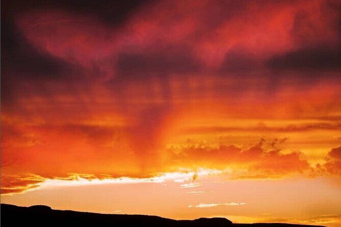 Premier Wildlife Tours in Saguaro National Park - A Deep Dive into the Wildlife Tour Experience