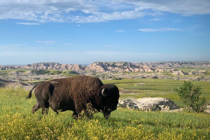 Premiere Private Badlands Day Tour - Comfort, Convenience, and Value