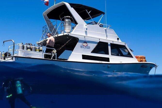 Premium Afternoon Scuba Charter for All Certified Diver Levels - A Deep Dive into the Kauai Scuba Experience
