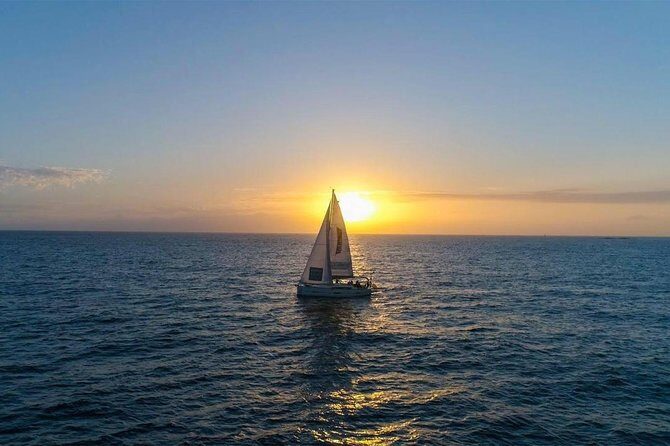 Premium All Inclusive Whale & Dolphin Watching Experience - FAQs
