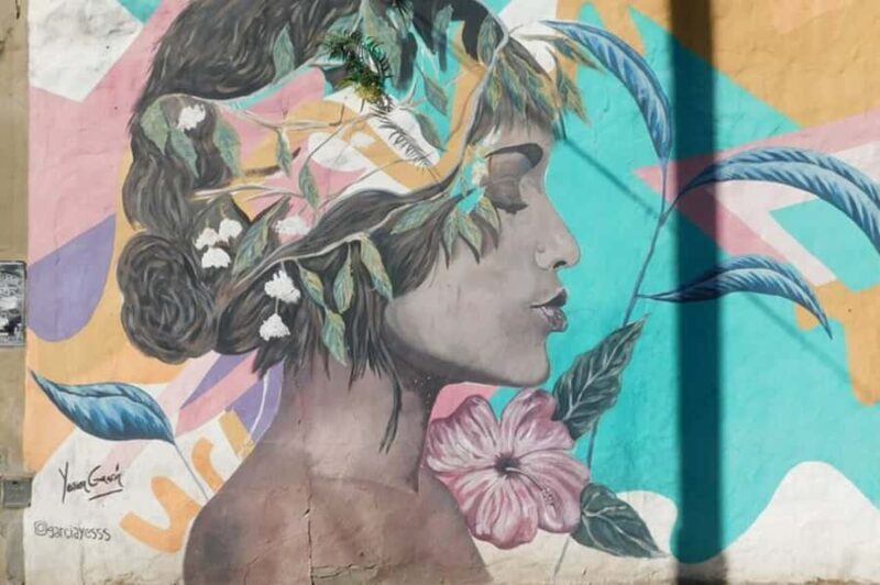 Premium Argentinian Wine and Malbec Tasting & Urban Art Tour - Experience the blend of Argentinian wines and urban art in Buenos Aires