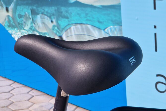 Premium Bike Rental in Barcelona - In-Depth Review of the Premium Bike Rental Experience in Barcelona