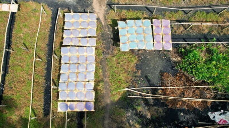 Premium Can Tho Floating Market - Fruit Garden - Cacao Farm - Exploring the Best of Can Tho: Floating Markets, Fruit Gardens, and Cacao Farms