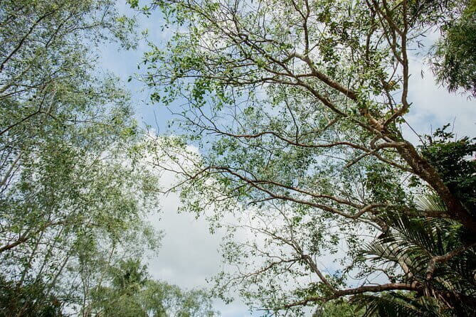 Premium Can Tho Small Canal Tour in Mekong Delta - In-Depth Review of the Premium Can Tho Small Canal Tour