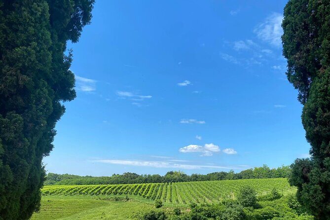 Premium Cheeses and Gins Tour in the Prosecco hills. Full lunch! - Key Points