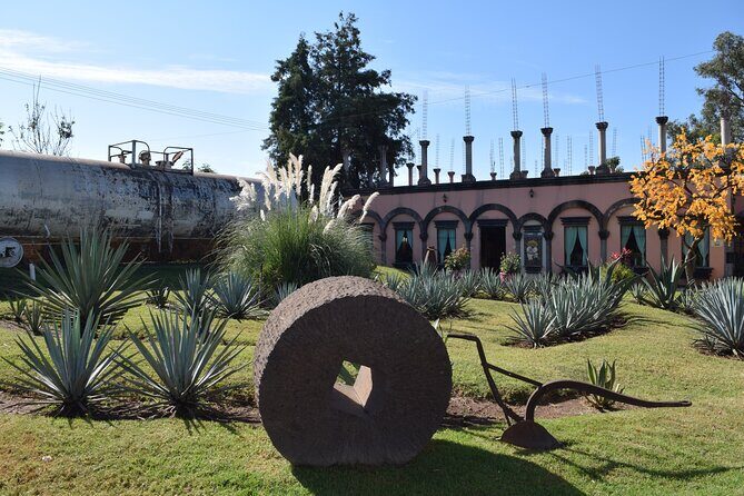 Premium Classic Tequila Experience in Cava de Oro - Authentic Tequila in Guadalajara: A Deep Dive into the Premium Classic Cava de Oro Experience