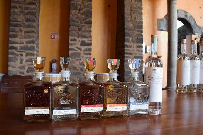 Premium Classic Tequila Experience in Cava de Oro - Key Points