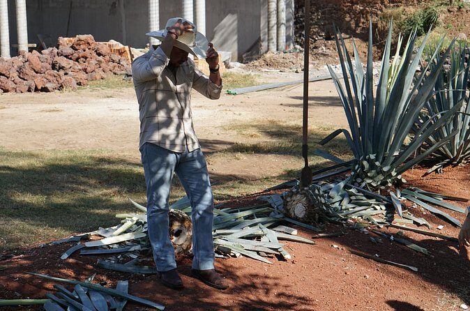 Premium Classic Tequila Experience in Cava de Oro - Final Thoughts