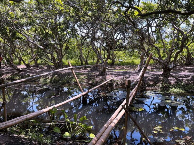 Premium Con Son Islet tour  Explore The Precious Gem - Why This Tour Qualifies as a Great Value