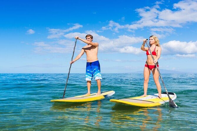 Premium Coral Island Pattaya by Speed boat - Practical Tips for Travelers