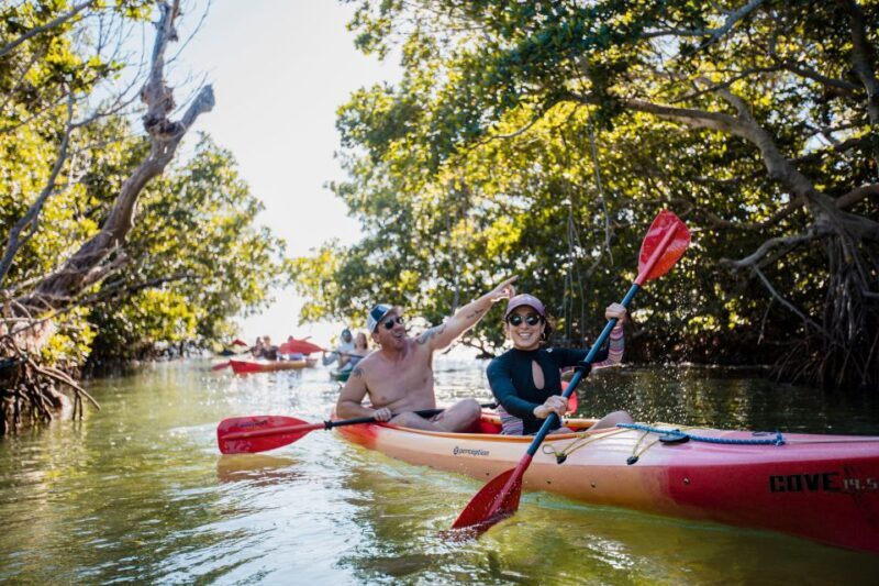 Premium Day Sail, Snorkel &, Kayak with Lunch - Why This Tour Offers Good Value