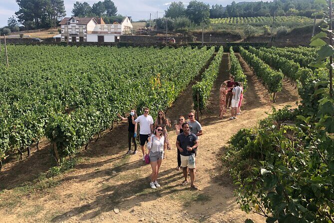 Premium Douro Valley Small-Group Tour, Wine Tasting, Lunch & Boat - Key Points