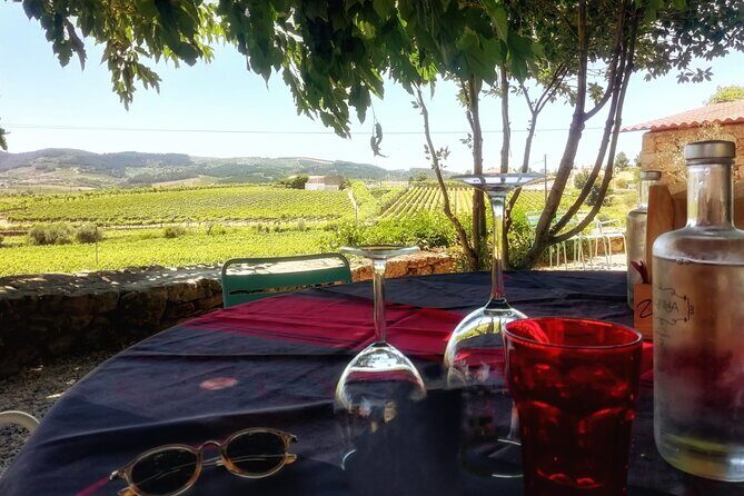 Premium Douro Valley Small-Group Tour, Wine Tasting, Lunch & Boat - A Deep Dive into the Douro Valley Tour Experience