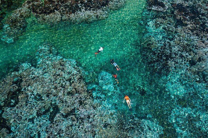Premium Family Snorkeling Experience - The Pros and Cons of This Snorkeling Tour