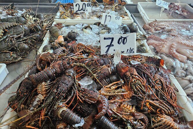 Premium Foodie Tour in Panama Casco Viejo - Key Points