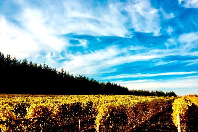 Premium Fraser Valley and White Rock Private Wine Tour - Key Points