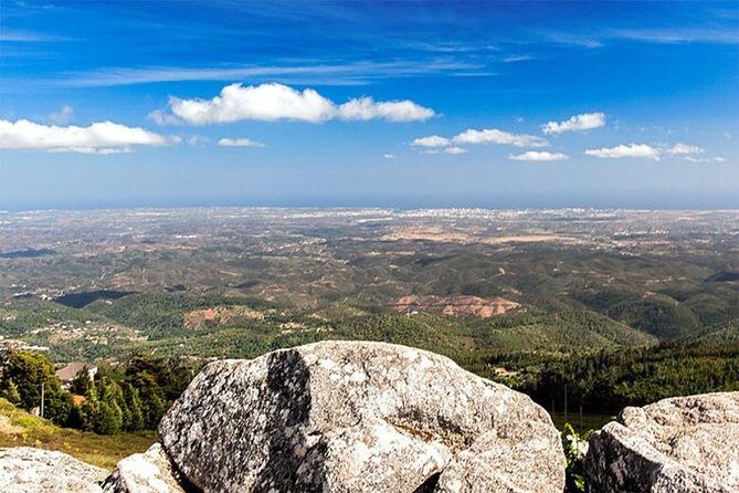 Premium gastronomic mountain tour: Wine, olive oil, spirits, food - A Detailed Review of the Algarve Gastronomic Mountain Tour
