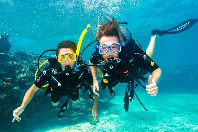 Premium Guided Dive Trip - Outer Great Barrier Reef - A Day of Exploring the Outer Great Barrier Reef with Scuba IQ