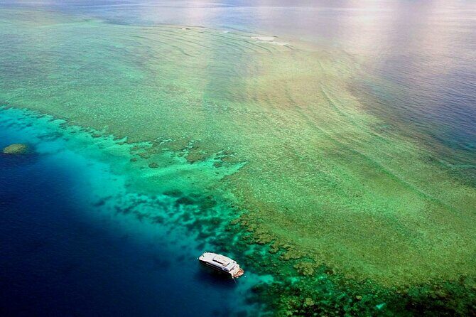 Premium Guided Dive Trip - Outer Great Barrier Reef - The Value of This Tour