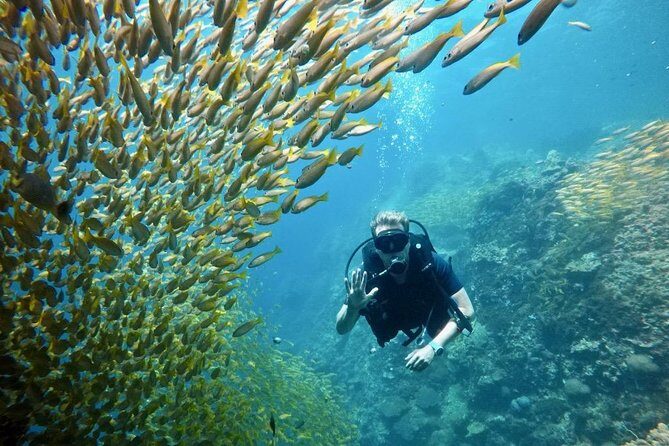 Premium Guided Scuba Diving Day Trip for Certified Divers - A Closer Look at the Phuket Scuba Experience