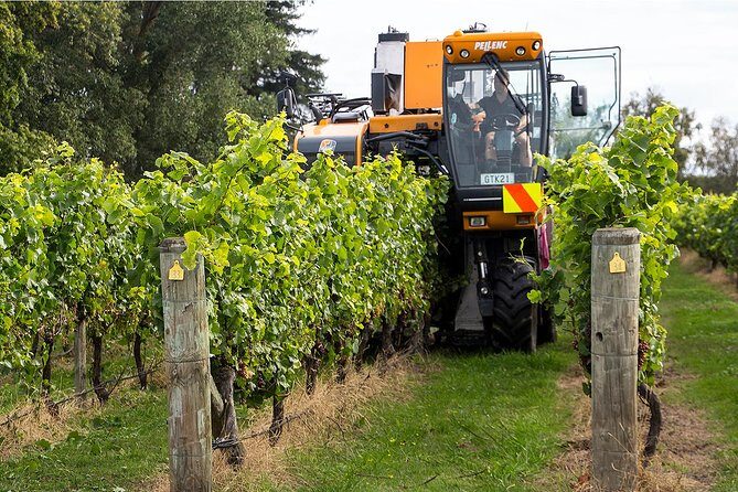Premium-Hawke's Bay, Napier Winery Tour - 5.5 hours - A Detailed Look at the Napier Winery Tour