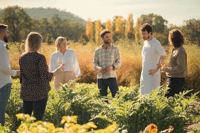 Premium Hunter Wine Tour with Degustation Lunch and Paired Wines - An in-depth look at this Hunter Valley wine experience