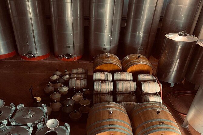 Premium Ischia Wine Tasting Experience with Transfer Included - Final Thoughts