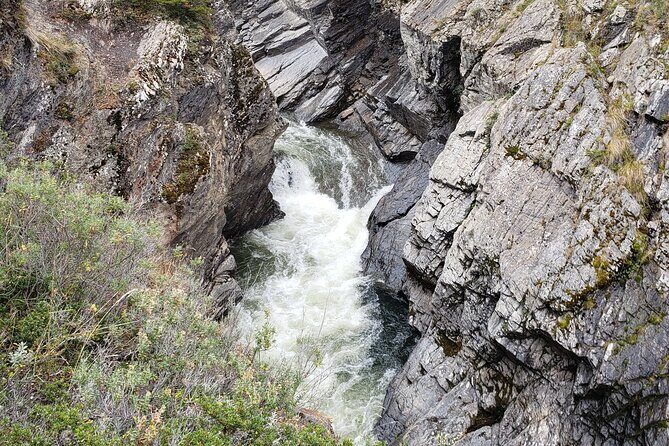 Premium King Crab Route in Tierra del Fuego - Who Will Enjoy This Tour?