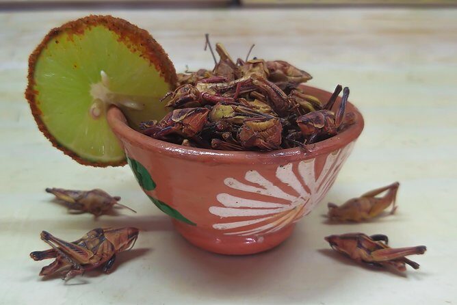 Premium Mezcal Tasting and Class - Key Points