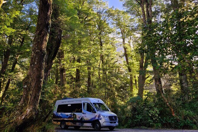 Premium Milford Sound Small Group Tour & Cruise from Queenstown - FAQ