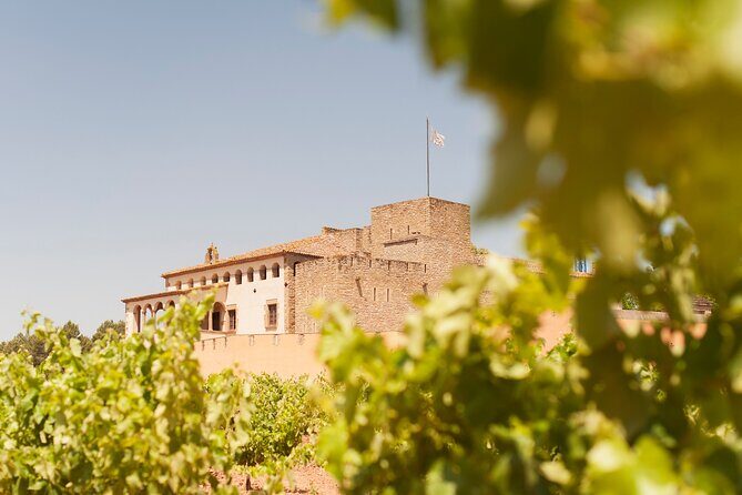Premium Montserrat & Wine Full Day Tour from Barcelona - The Scenic Drive and Free Time