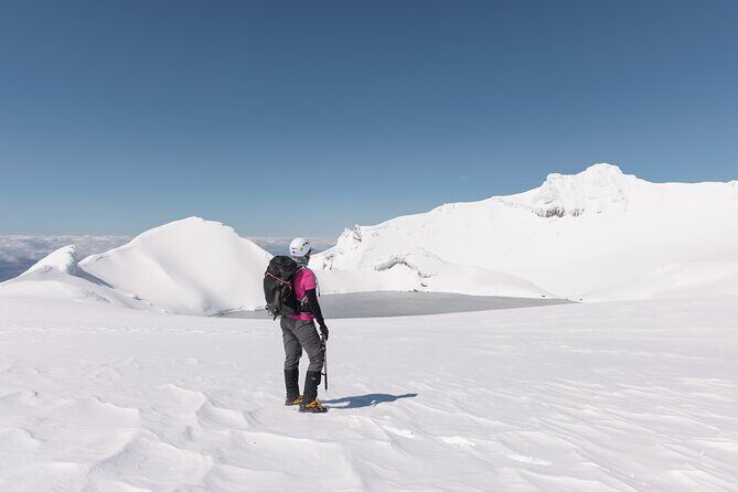 Premium Mt Ruapehu Summit Plateau Guided Group Hike - Who will love this tour?