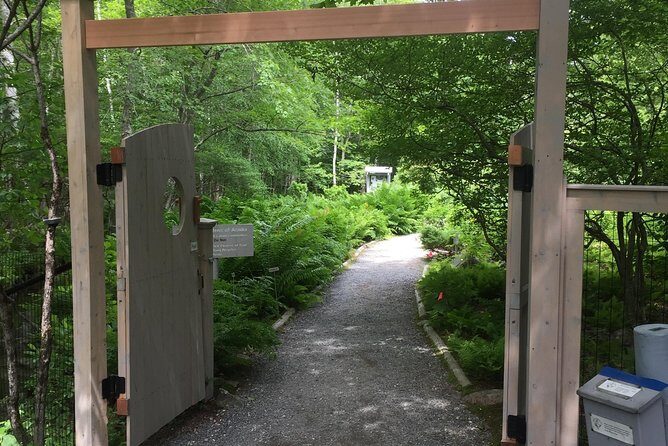 Premium Narrated Bus Tour of Bar Harbor and Acadia National Park (3.5 Hours) - Who Should Consider This Tour?