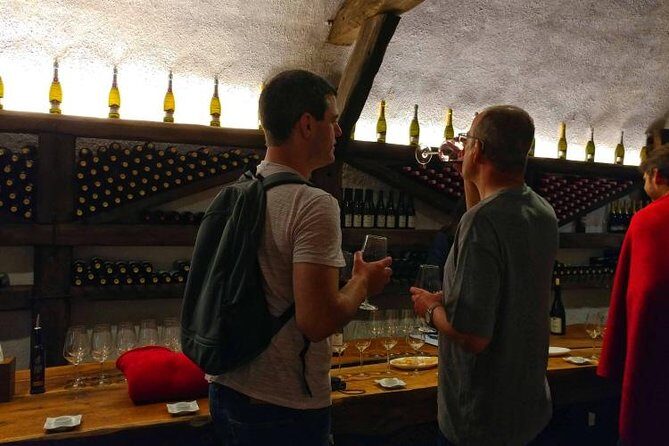 Premium & Organic Wine Tour in Kakheti - Key Points