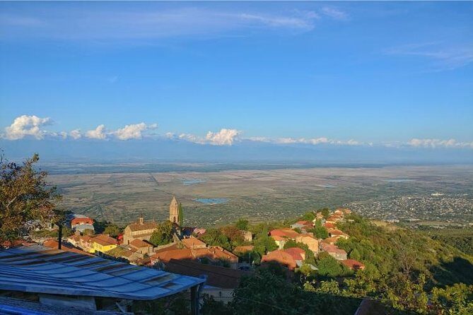 Premium & Organic Wine Tour in Kakheti - The Sum Up: Who Will Love This Tour?